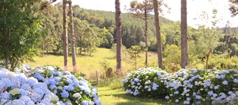 Hotel Murialdo Caxias