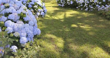 Hotel Murialdo Caxias