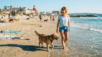Pet-friendly