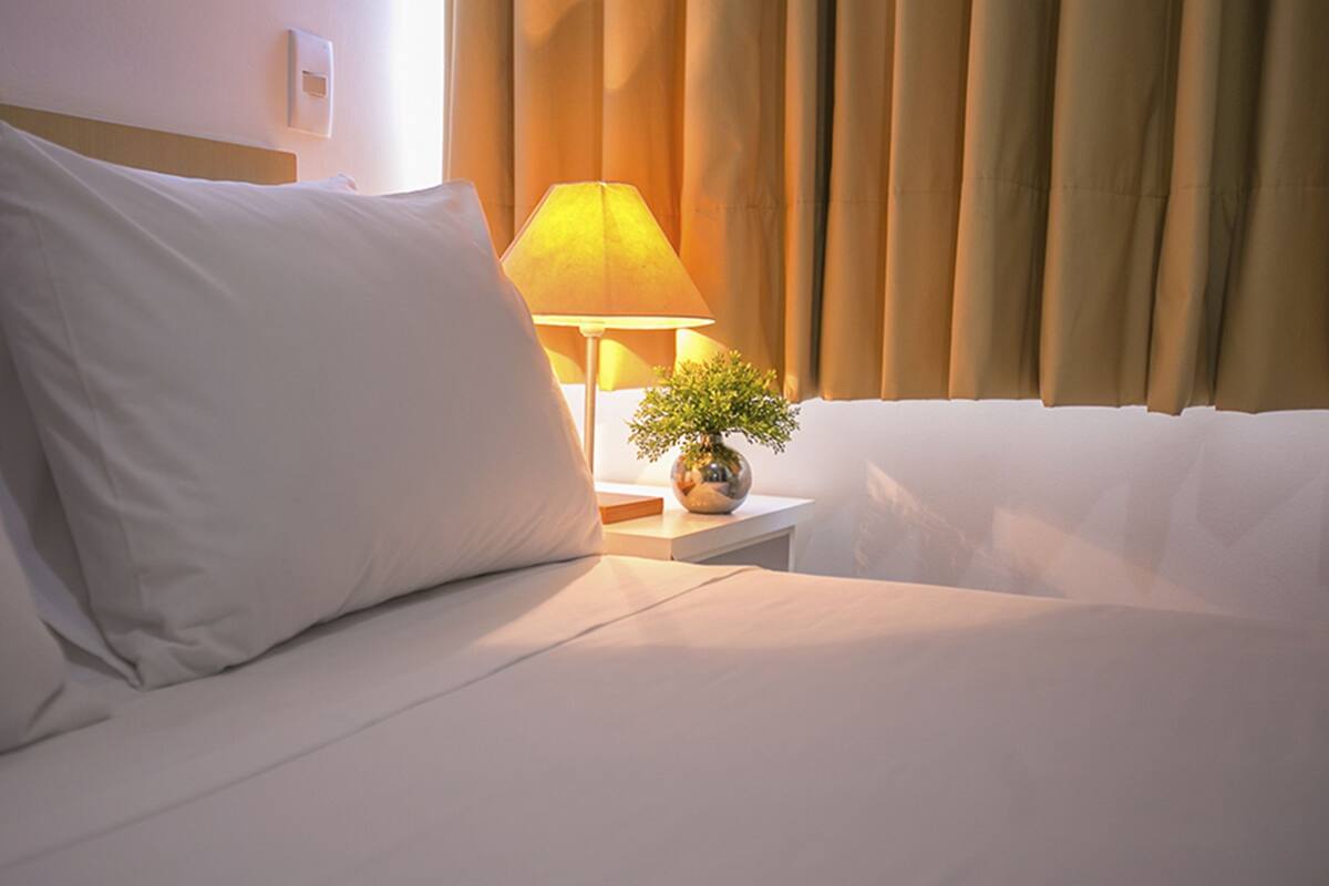 A neatly made bed with white linens, a bedside lamp, and a small potted plant on a nightstand.