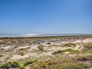 Eine Küstenlandschaft mit sandigem Gelände und vereinzelter Vegetation.
