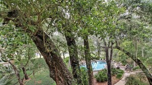 Un jardí exuberant amb una piscina i un camí.