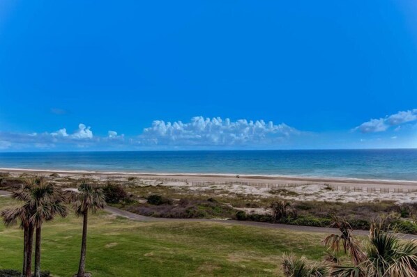 Une vue sur la plage, avec un ciel dégagé, des palmiers et un sentier sablonneux menant au bord de l’eau.