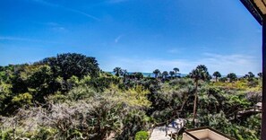 A view of a lush, green landscape with dense foliage and a clear blue sky.