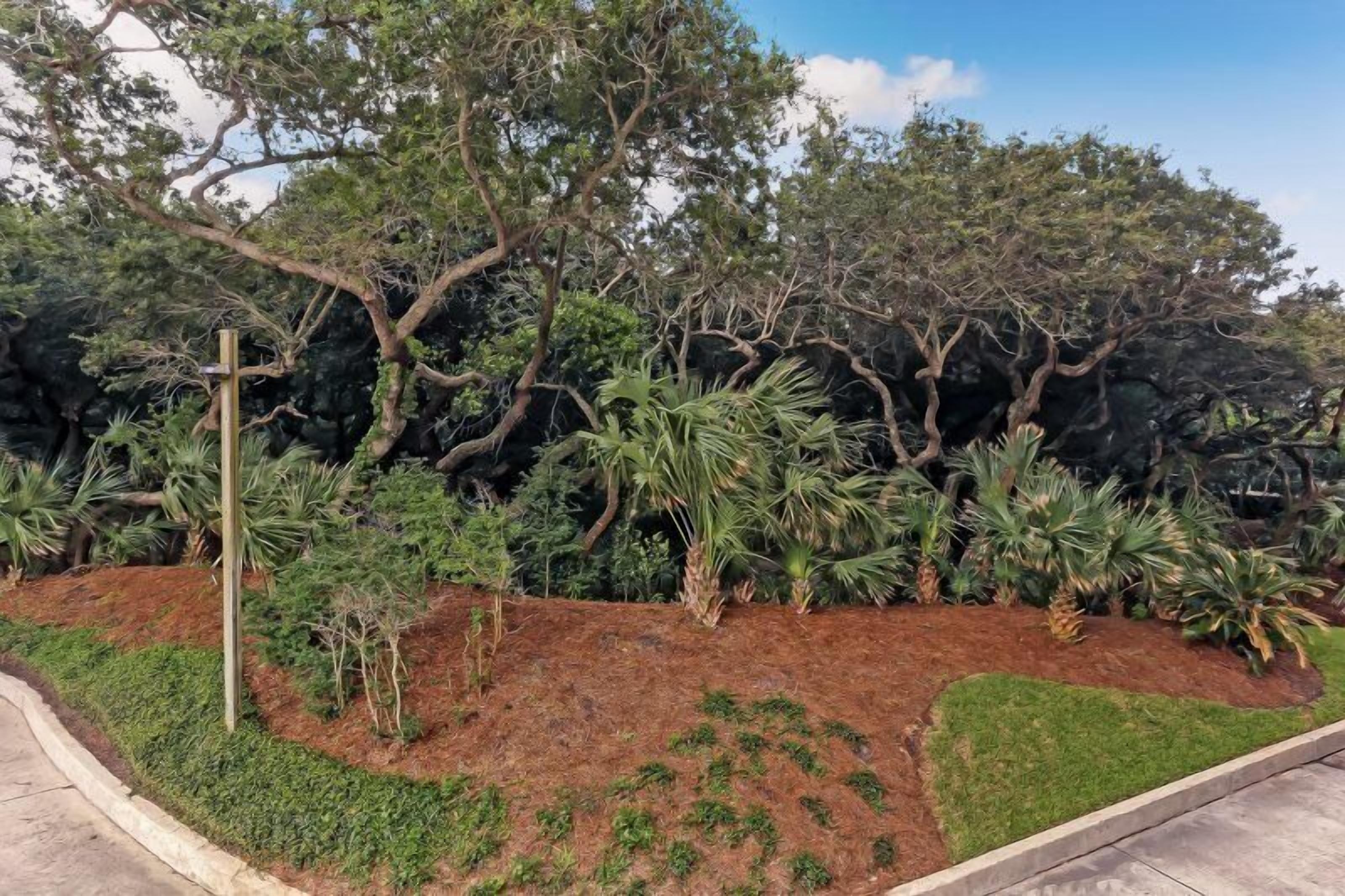 Un jardin aménagé avec différents arbres et arbustes, un poteau en bois et une pelouse bien entretenue.