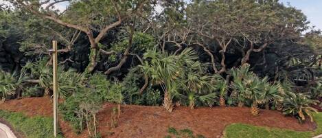 Un jardin aménagé avec différents arbres et arbustes, un poteau en bois et une pelouse bien entretenue.