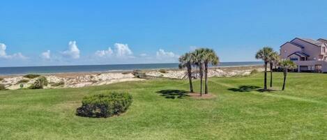 A beachfront property with a well-maintained lawn, palm trees, and a large house with multiple windows and a balcony.