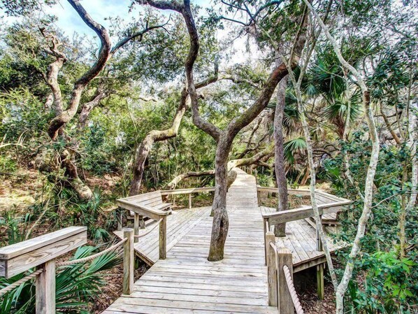 บริเวณที่พัก