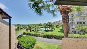 Blick von einem Balkon auf einen gepflegten Garten mit einer Palme, einem Swimmingpool und einer Straße, die zu einem Gebäude mit Balkonen führt.