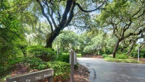 A pathway leading to a beach with a directional sign. - 2098-beachwood (Fernandina Beach)