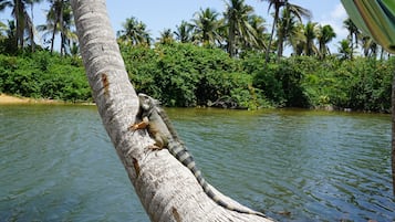 Jardín