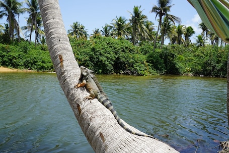 Jardín