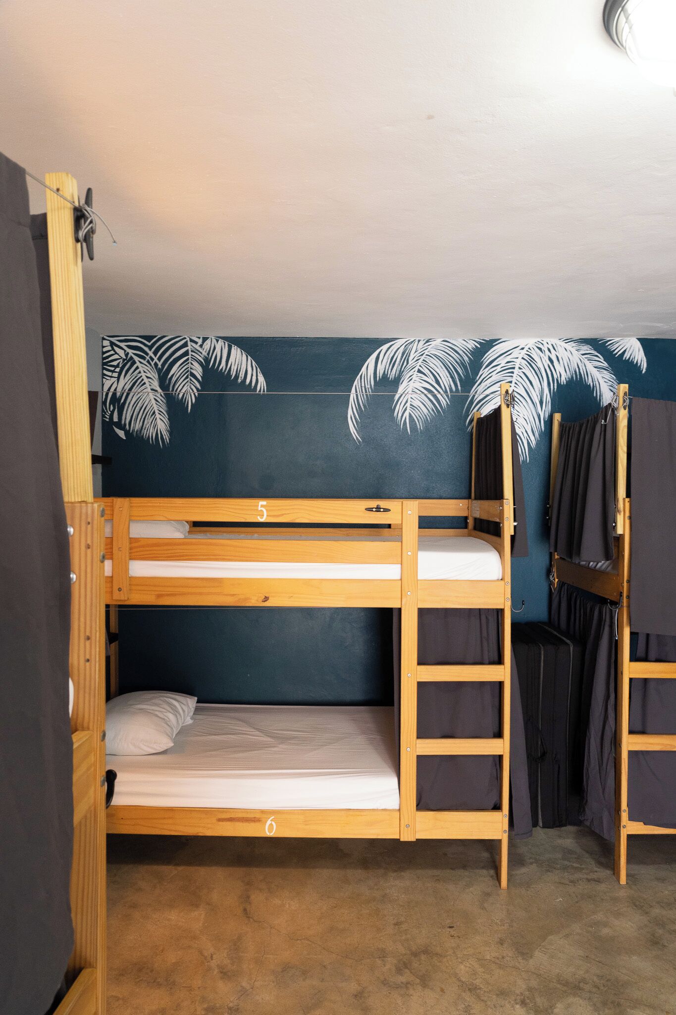 A bunk bed room with a blue wall and palm leaf mural, numbered beds 5 and 6, and a wooden ladder.