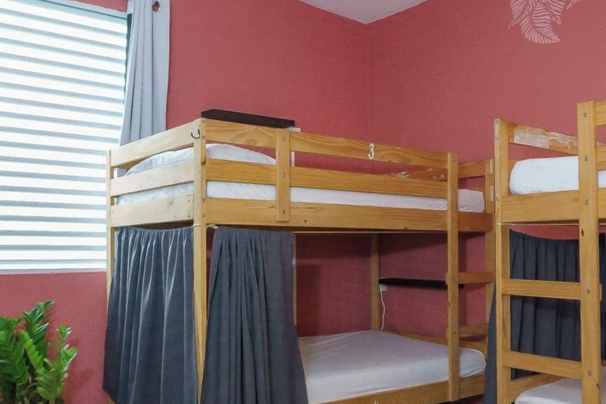Dormitorio con literas, ventana, cortinas y una planta en maceta.