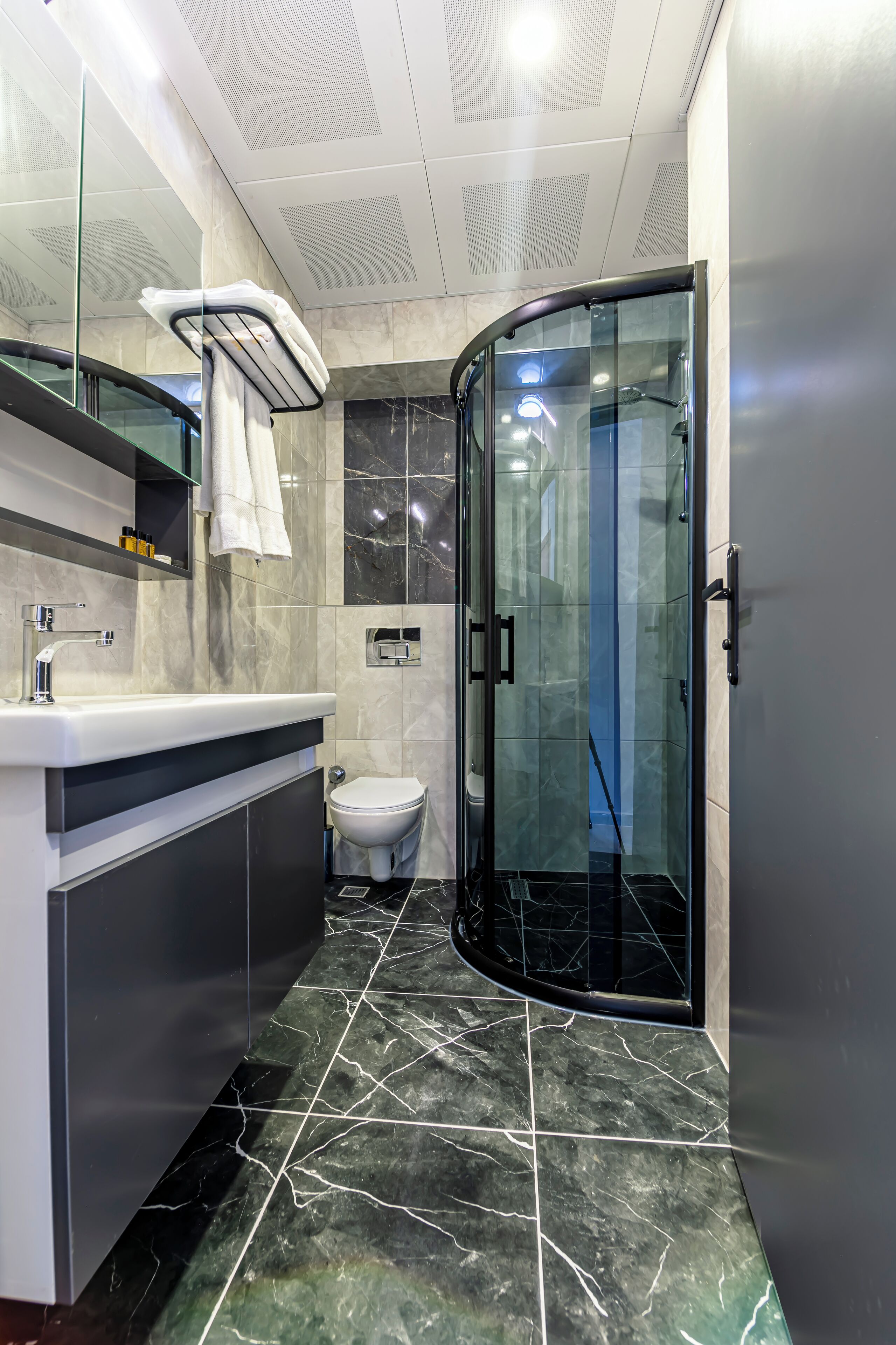A modern bathroom with a glass shower enclosure, a white sink, and a toilet.