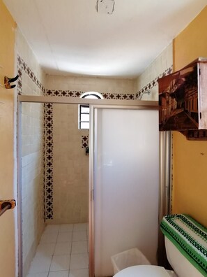A bathroom with a shower enclosure, a toilet, and a small shelf with a decorative item. - Mina Esperanza (Guanajuato)