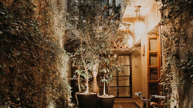 Un estrecho sendero pavimentado bordeado de exuberante vegetación y plantas en macetas, que conduce a la entrada de un edificio donde se ve una bicicleta estacionada.