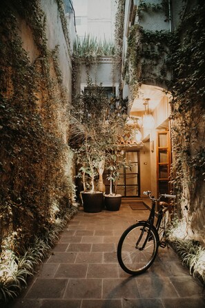 Un estrecho sendero pavimentado bordeado de exuberante vegetación y plantas en macetas, que conduce a la entrada de un edificio donde se ve una bicicleta estacionada.