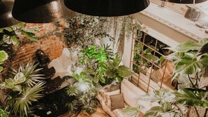 Un jardín interior acogedor con lámparas colgantes, una pequeña fuente y un mobiliario cómodo.