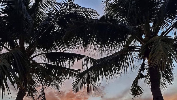 A beach with palm trees and a sunset. - Samba Bluewater Resort (Olongapo)