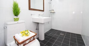 Ducha, artículos de tocador gratuitos, secador de pelo, toallas