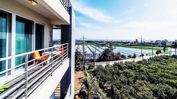 Superior Double | Balcony view