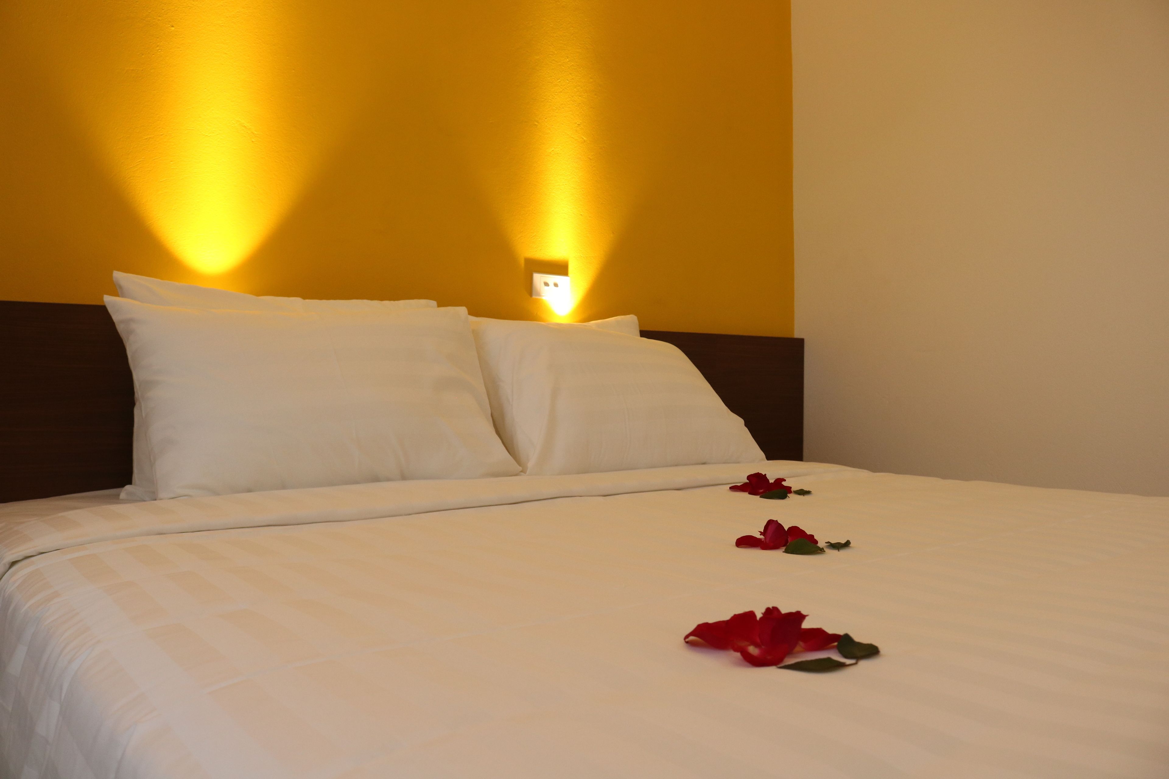 A neatly made bed with white linens and two pillows, a wall-mounted light fixture, and a single red rose on the bed.