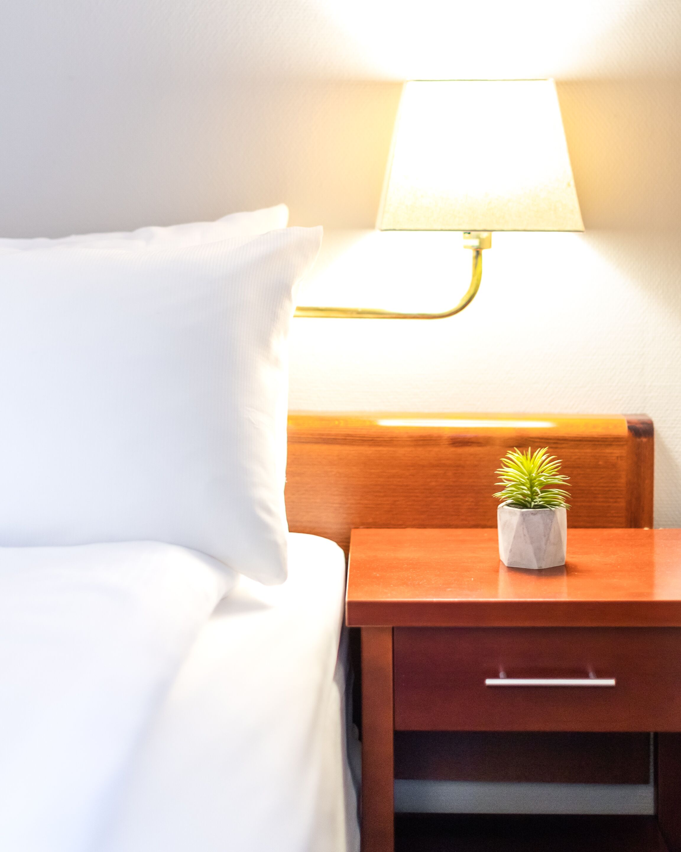 Una cama bien hecha con ropa de cama blanca, una mesita de noche de madera con un cajón y una pequeña planta en maceta sobre la mesita.