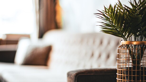 A cozy living room with a sofa, a coffee table, and a potted plant. - Frøken Skjolds Hotel (Vefsn)