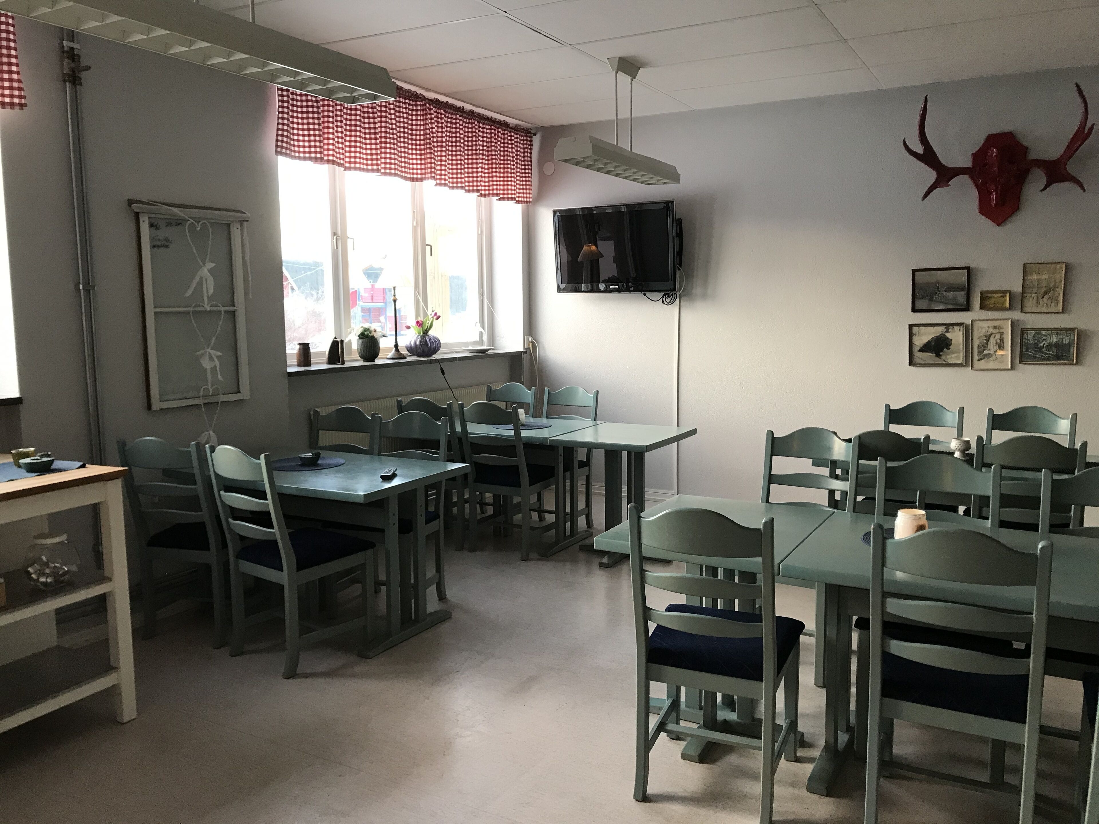 A classroom with tables and chairs, a chalkboard, a window with a checkered valance, and a mounted animal skull on the wall.
