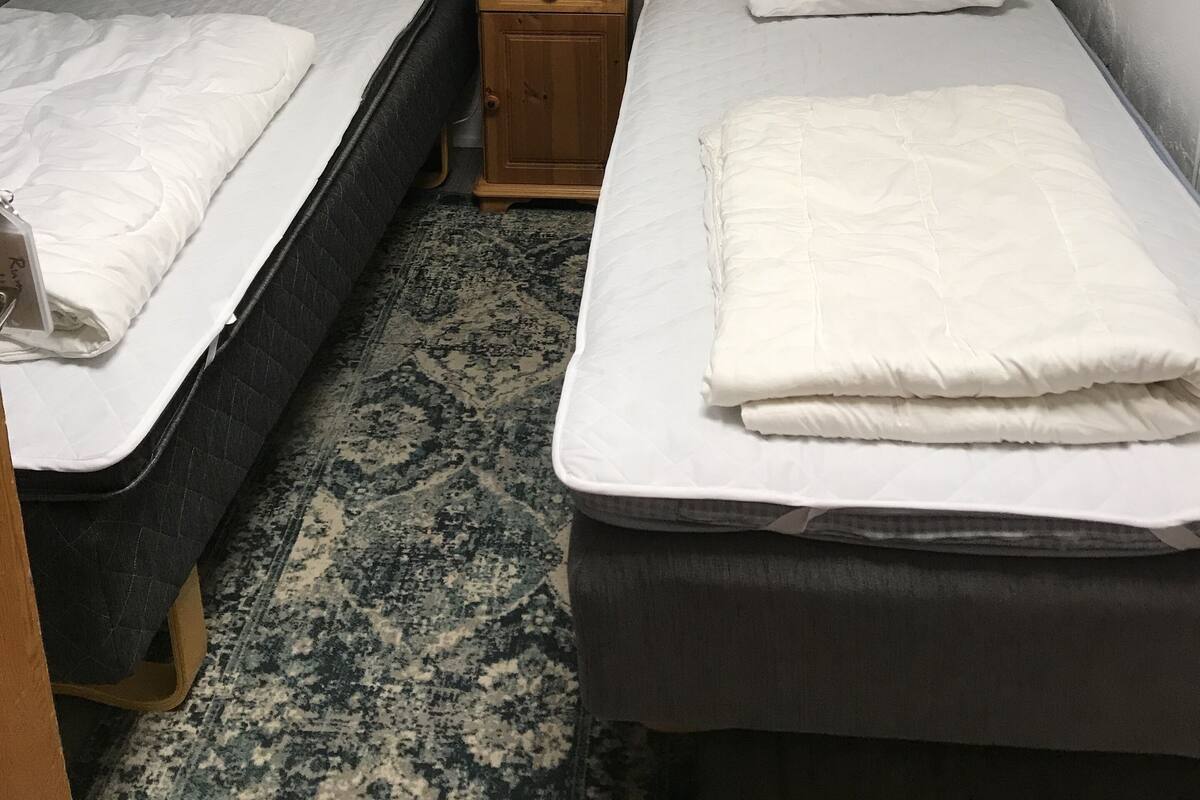 Une chambre avec deux lits, une table de chevet avec une lampe, un tableau au mur et un tapis à motifs.