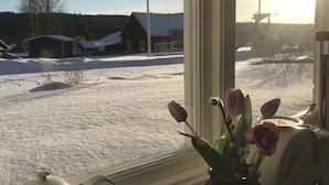 Een keukenraam met uitzicht op een besneeuwd landschap, een tulpvaas en keukengerei.