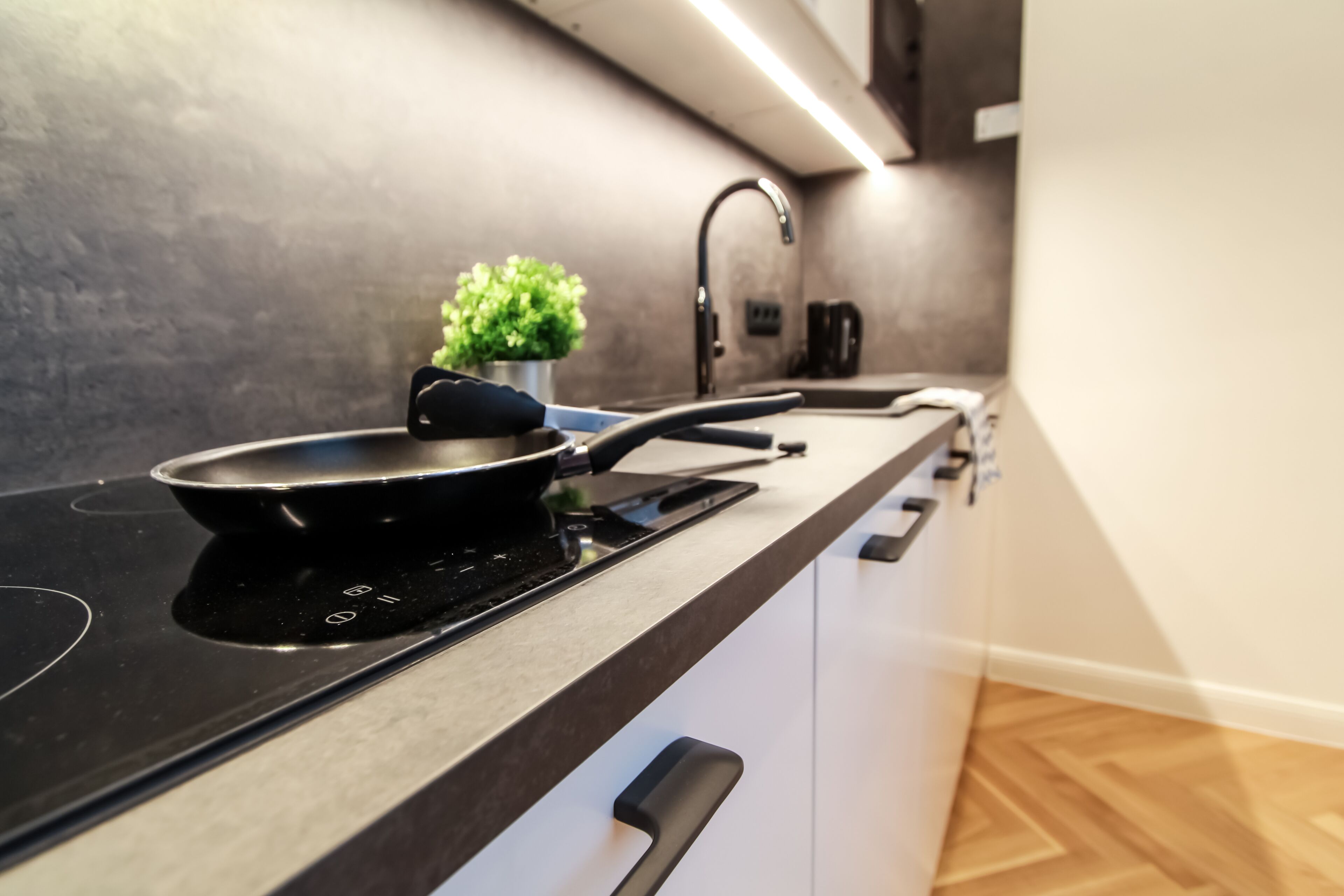 Deluxe Apartment | Private kitchen | Full-sized fridge, microwave, stovetop, dishwasher