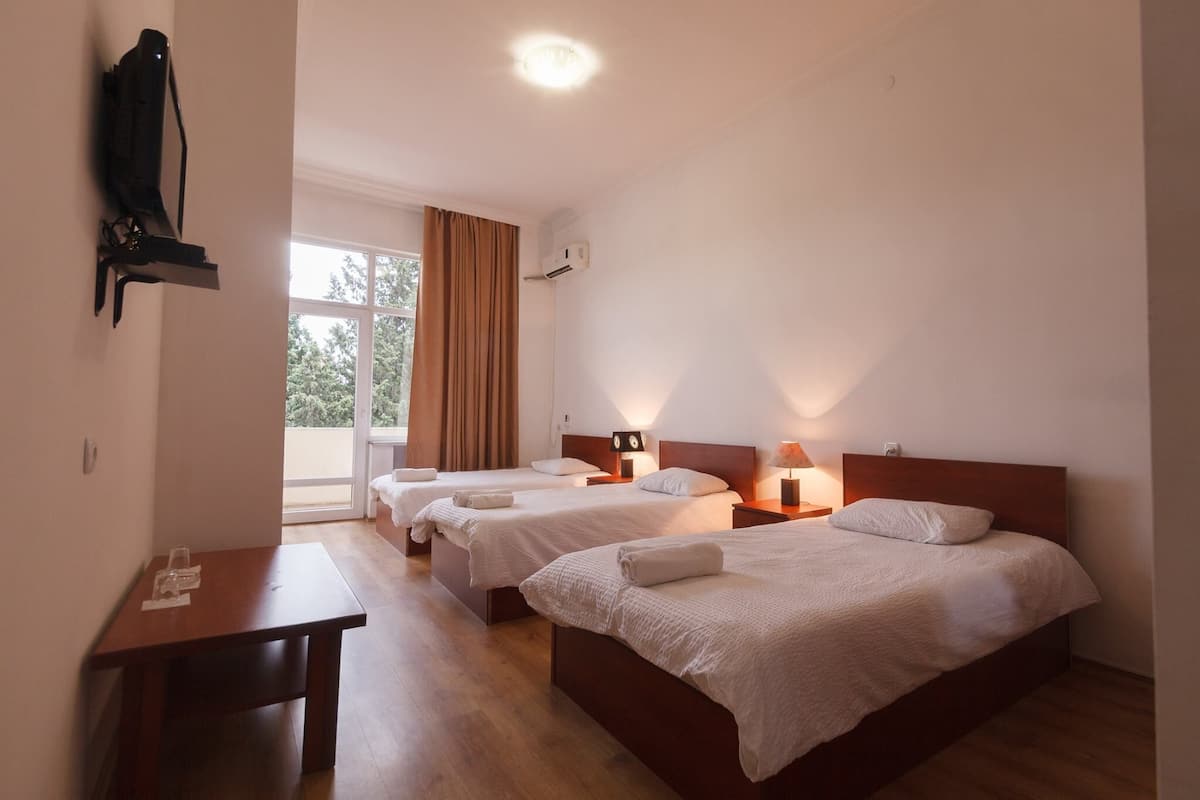 Standard Triple Room | Desk, free WiFi, bed sheets