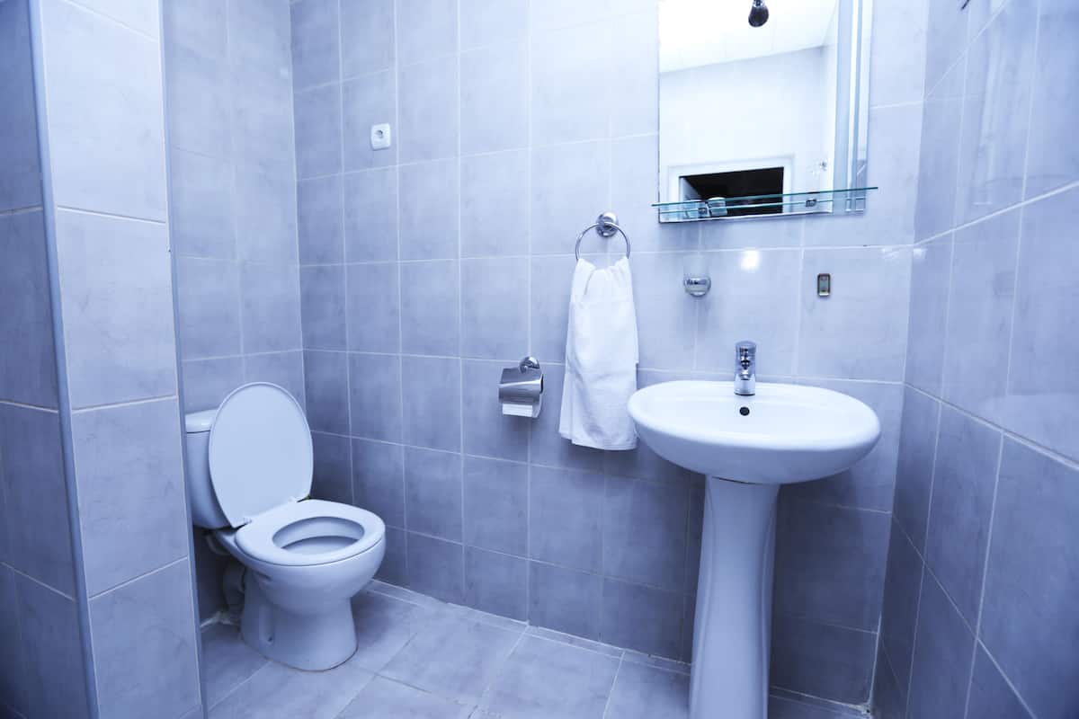 Shower, free toiletries, hair dryer, slippers