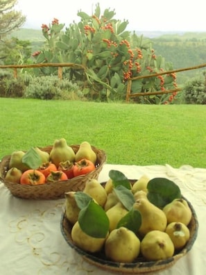 A basket of pears and apples on a table with a grassy field and a tree in the background.