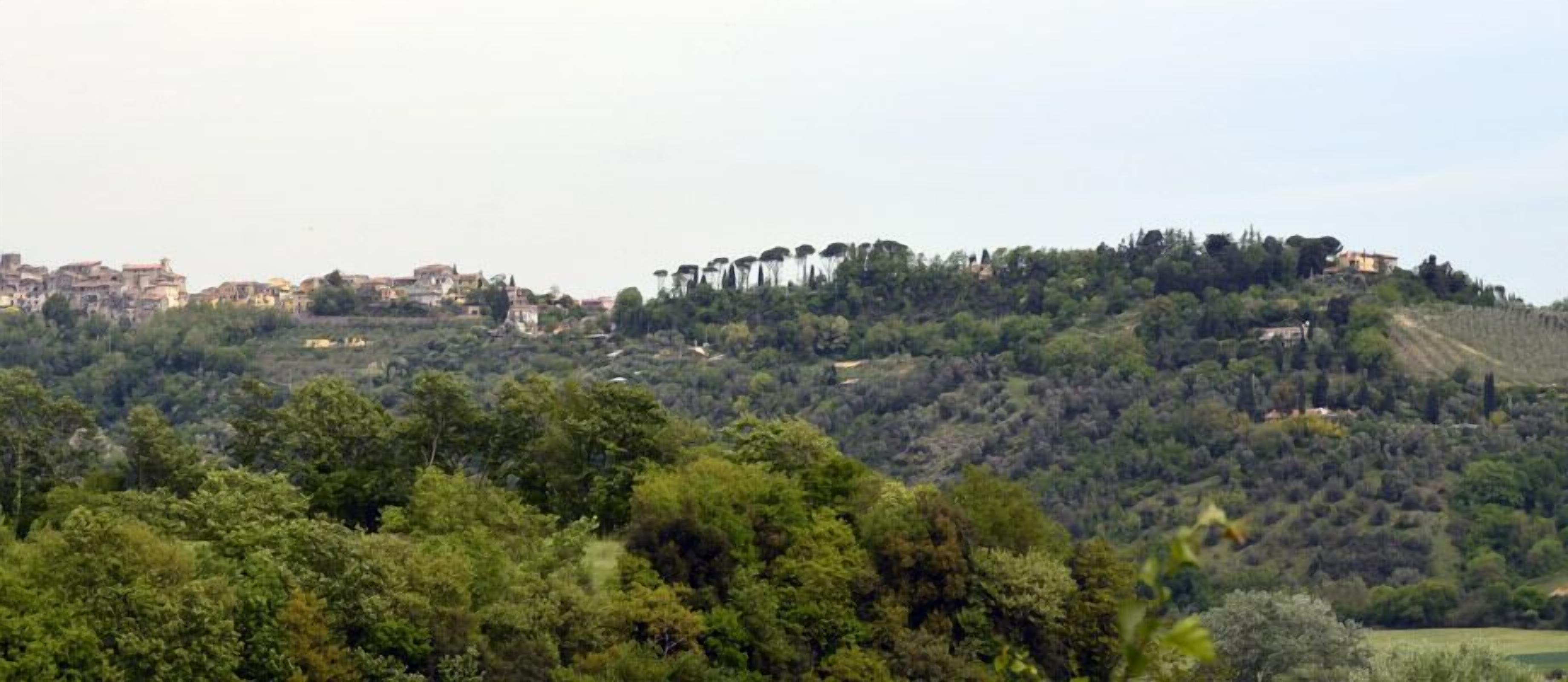Un cerro cubierto de vegetación densa y edificios dispersos.