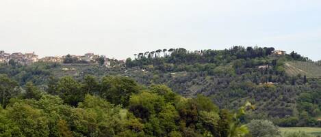 Un cerro cubierto de vegetación densa y edificios dispersos.