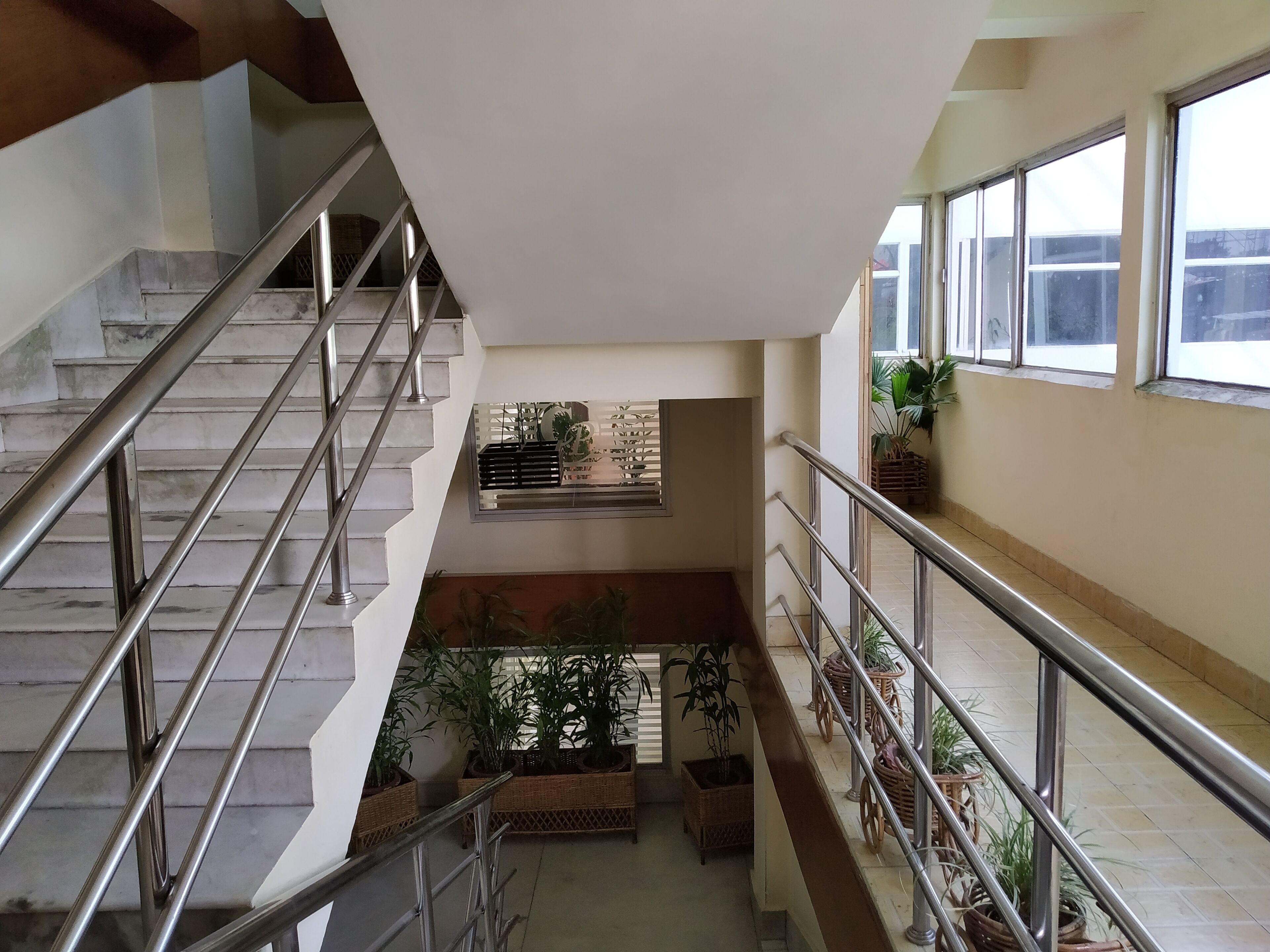 Un interior de varios niveles con una escalera, barandillas metálicas y plantas en macetas.