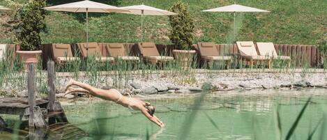Seasonal outdoor pool, a natural pool, sun loungers