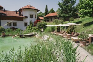 Seasonal outdoor pool, a natural pool, sun loungers