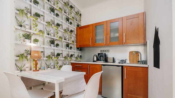 Una cucina con mobili bianchi, una lavastoviglie in acciaio inossidabile e uno scaffale a parete con piante in vaso.