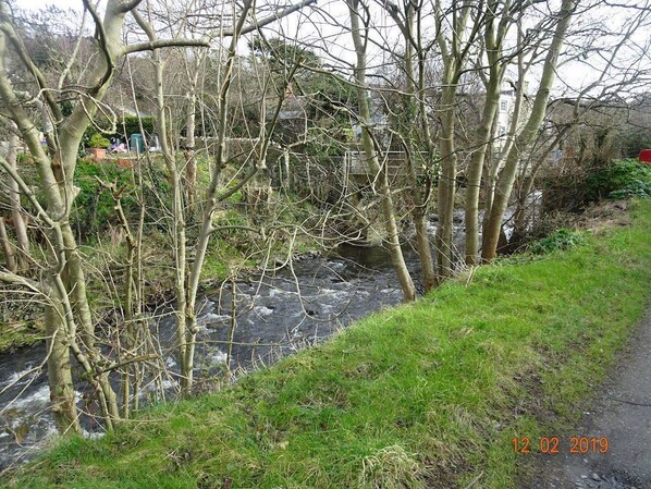Unclassified image, 1 of 18, button - Tan y Gorlan (Aberaeron)