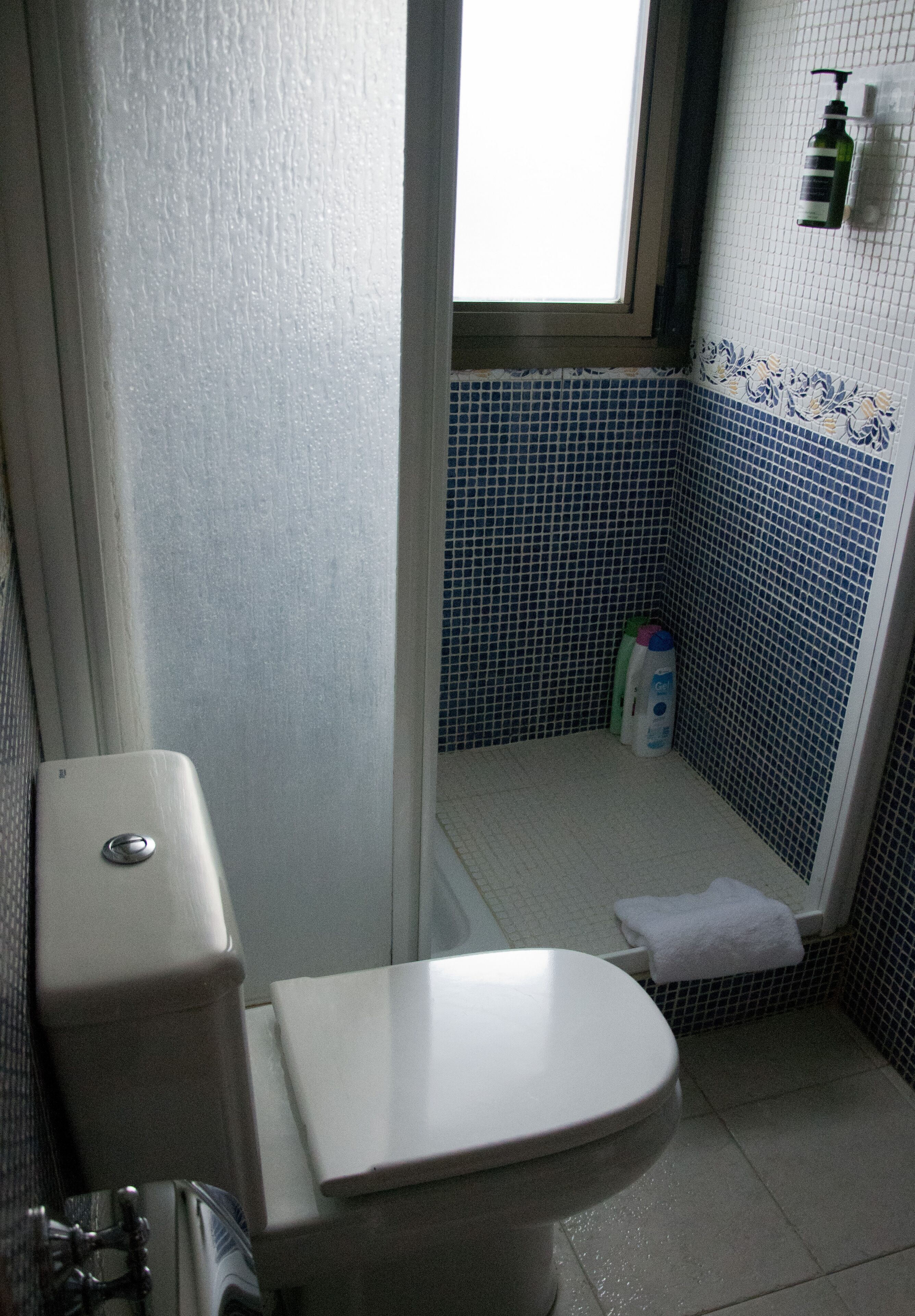 Cabezal de ducha tipo lluvia, secador de pelo, bidet, toallas