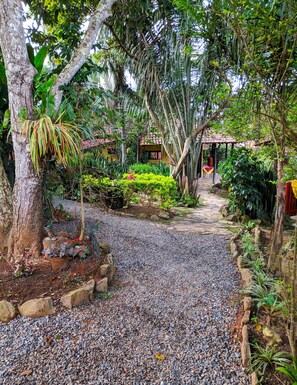 A pathway leading to a rustic building surrounded by lush greenery and a variety of plants. - Pousada do Sol (Alto Paraíso de Goiás)