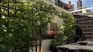 Un área de comedor al aire libre con mesas dispuestas para el desayuno, rodeada de follaje y un paisaje urbano al fondo.