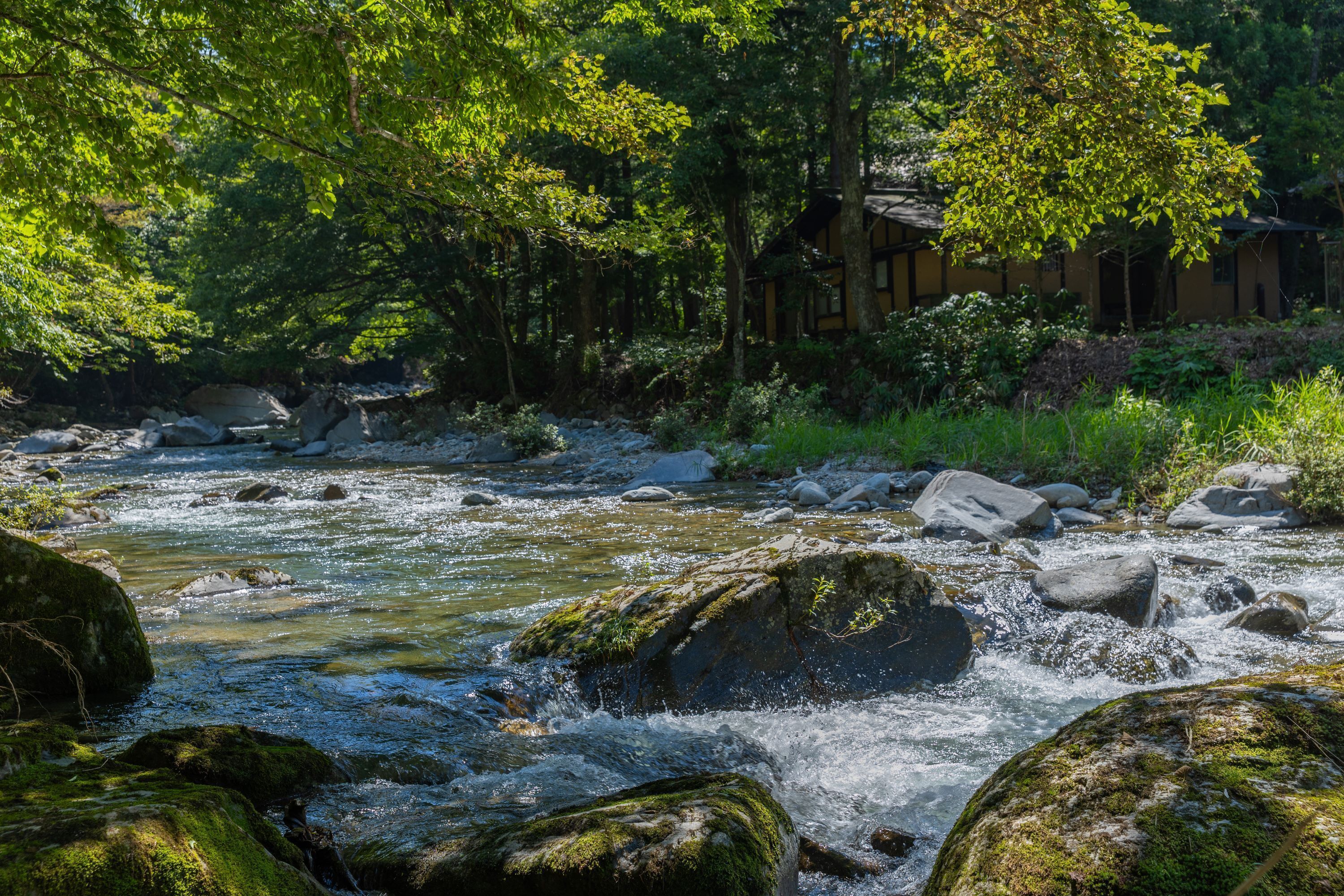 Traditional Japanese Style Room-Private Villa (Garyu), Non Smoking | In-room safe, individually decorated, free WiFi, bed sheets