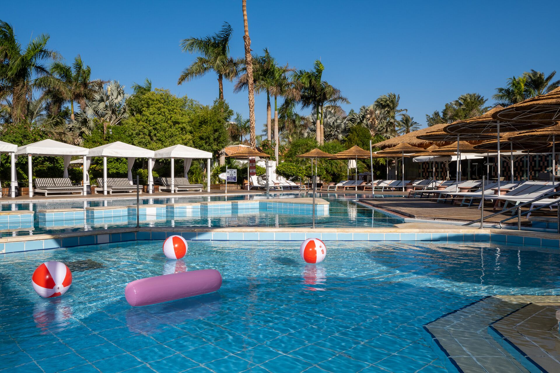 Una piscina con sillas de descanso y sombrillas, rodeada de palmeras.