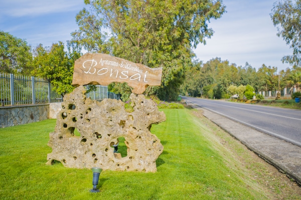 Parco della struttura