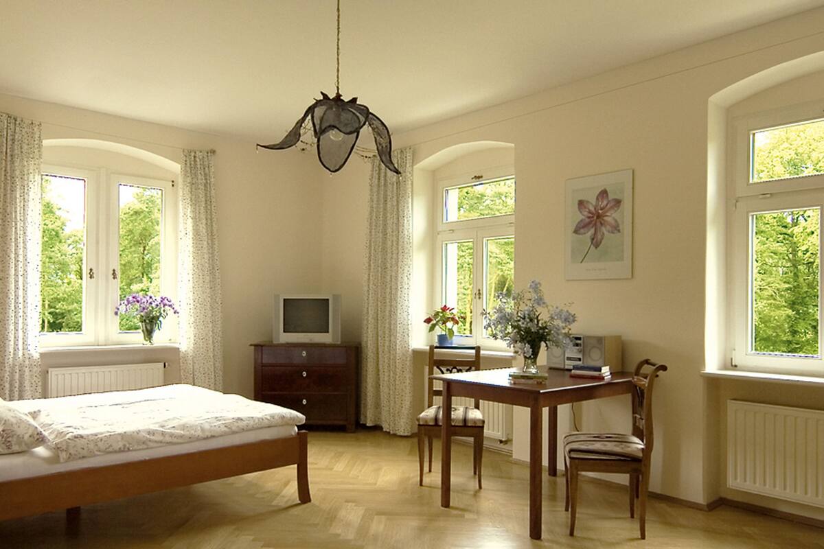 double room, river view | hypo-allergenic bedding, select comfort beds, minibar